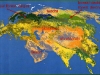 o_eurasia biomes busqueda biomes america